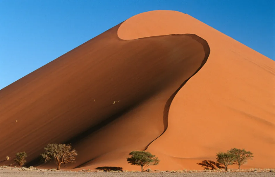 toor image